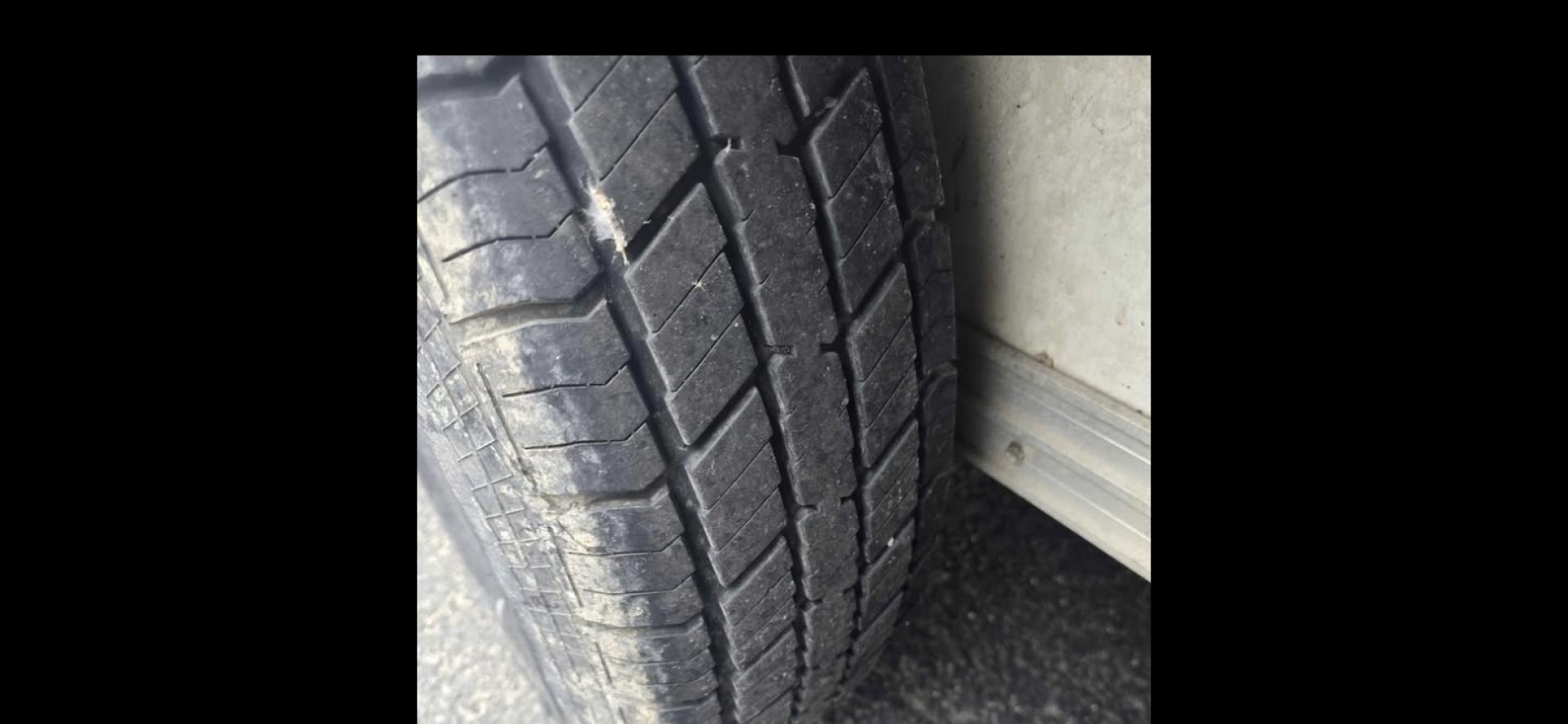 2006 Silver Merhow 4 Horse LQ , located at 923 US HWY 87 E., Billings, MT, 59101, (406) 245-0456, 45.795788, -108.451881 - 2006 Merhow 4 Horse w/slide Located in Billings MT $35,900 Locally owned MT trailer with 2 owners!! If you're wanting to do something recreational, besides horses, this is your trailer. The tack is removable. This is a super nice living quarter with a slide, 4 horse slant, 7' wide. Aluminum - Photo#3