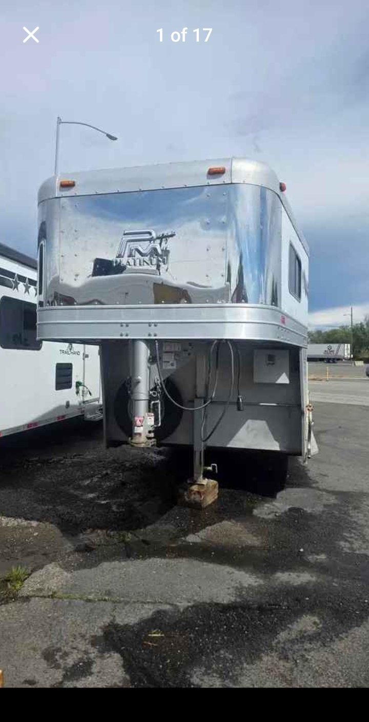 photo of 2018 Platinum 3 Horse