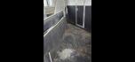 2005 White Integrity 4 Horse LQ , located at 923 US HWY 87 E., Billings, MT, 59101, (406) 245-0456, 45.795788, -108.451881 - Photo#6